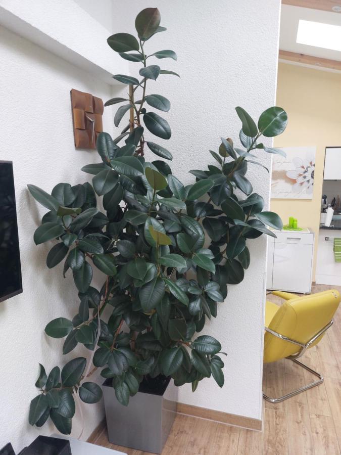 In Apartment *